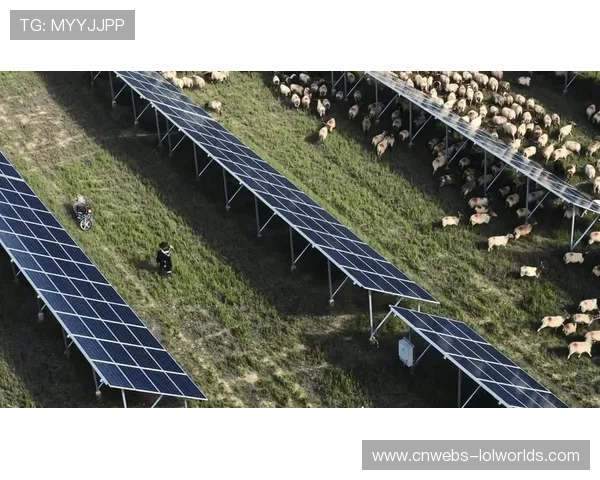 德甲俱乐部推行绿色倡议，体育场采用可持续能源