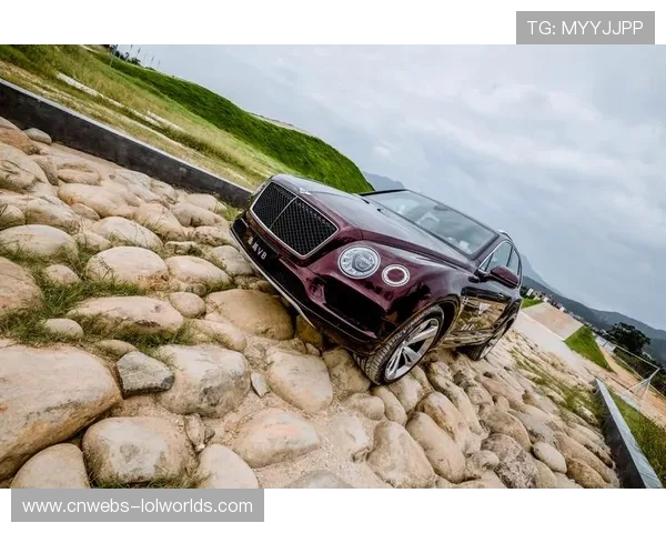 厦门国际赛车场多段坡差11米赛道将考验车手精准操控